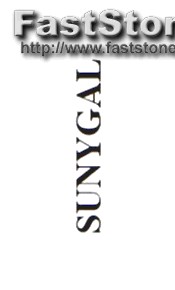 Spyzie Gratis Testen